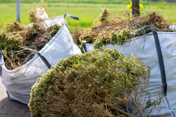 Best Shed Removal  in Hackettstown, NJ